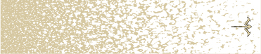 Tan Sandstorm Spray Paint on White Background Arrow Wraps